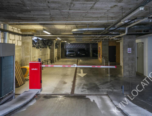 Разное 55. Подземный паркинг. Зоологическая